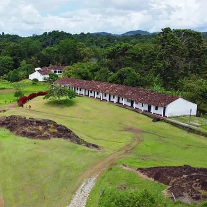 Fazenda de cacau na região de Ilhéus